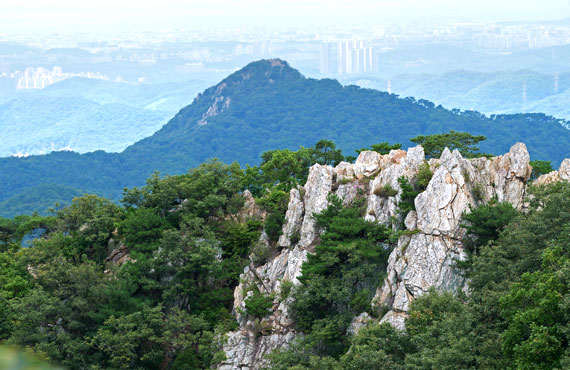 Bambawi (Chestnut Rock)