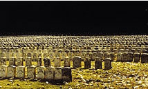 미국의 1평내외 평장의 사진